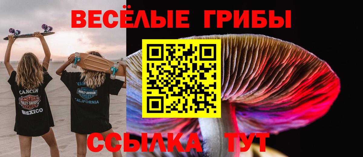 Галлюциногенные грибы Cubensis  Вход с VPN  Тайшет 